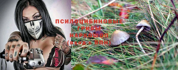 мяу мяу мука Пестово