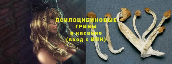 мяу мяу мука Пестово