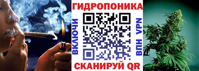 Бошки Шишки сатива  где можно купить наркотик  Орехово-Зуево 