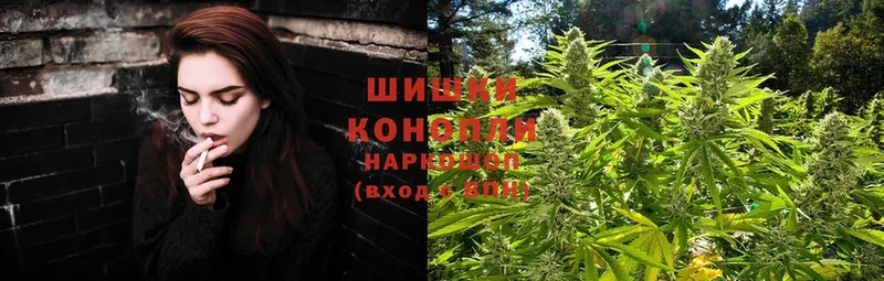 Бошки Шишки White Widow  хочу наркоту  Орехово-Зуево 